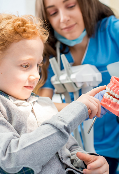 Pediatric dentist showing a young boy patient a model of the teeth