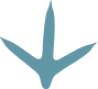 Icon of a birdlike footprint