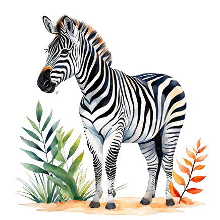 Illustration of a zebra