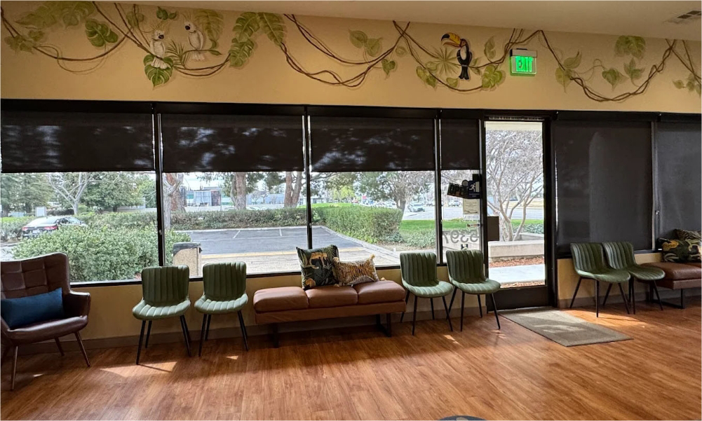 Reception area of Purdy Pediatric Dentistry with paper cutouts on the wall of vines and jungle animals