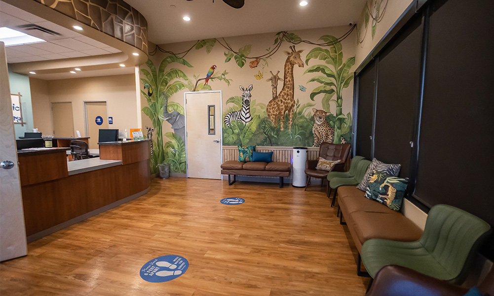 Mural of jungle animals on a wall of the reception area